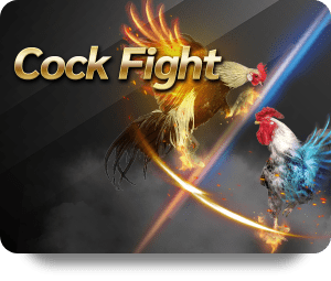 Sicbo Online: A Guide to Winning Strategies for Beginners